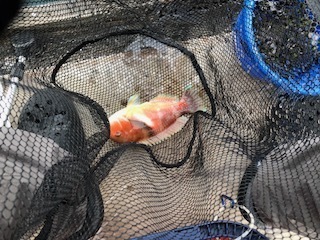 IMG_0394.jpg