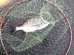 iPhone写真 029.jpg